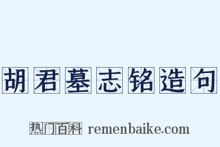 胡君墓志铭造句是什么意思的图片